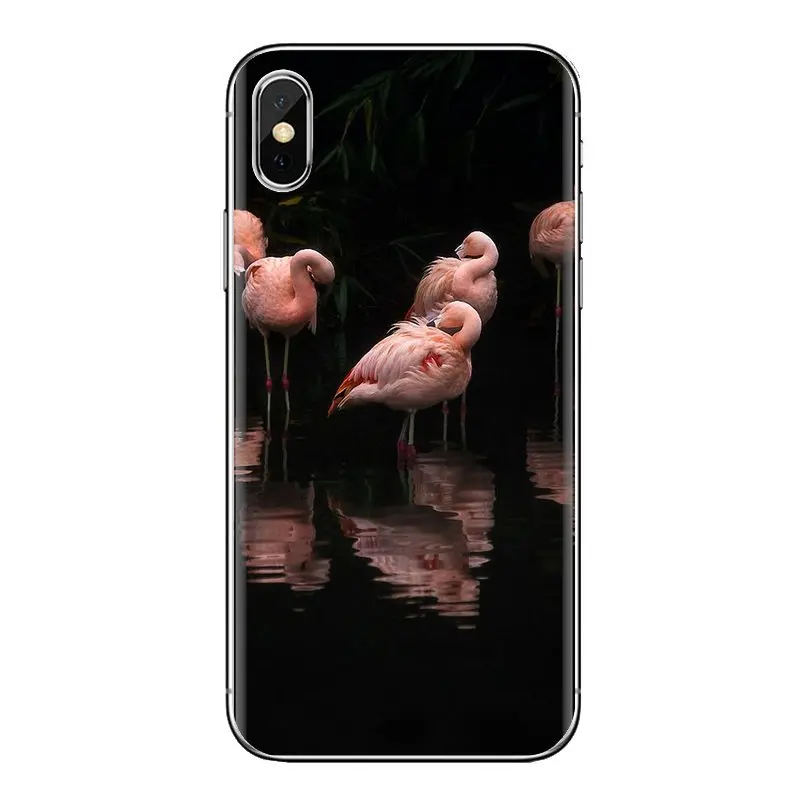 Танцы Фламинго платье с полосками и цветами Розовый силиконовый чехол для Samsung