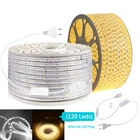 Высокая Яркость Светодиодные ленты AC220V SMD2835 Водонепроницаемый гибкий светильник 120 светодиодовм Светодиодная лента с Мощность штекер Адаптер длиной 1 м2 м5 м6 м Открытый сад