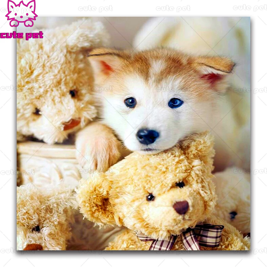 DIY Алмазная вышивка Белая хаски собака полная квадратная мозаика милый щенок