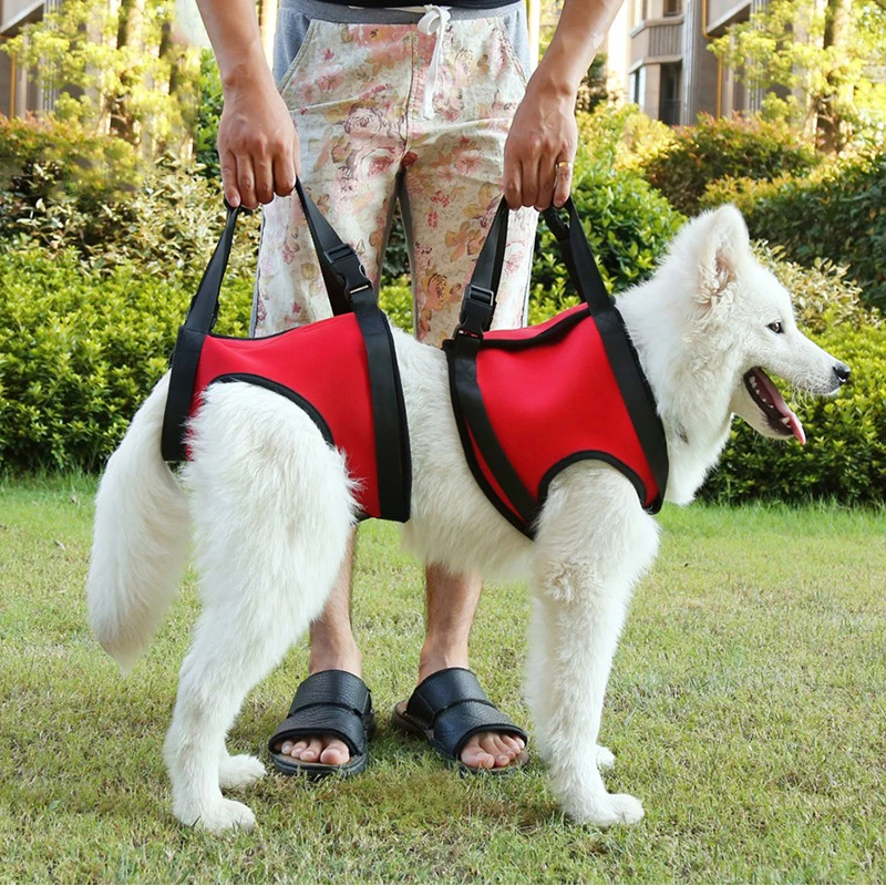 

Pet Dog Harness Leash Aids Foreleg Hind Leg Help Old Dog Disabled Animal Harnesses Injury Use Rehabilitation Assist Belt Elder