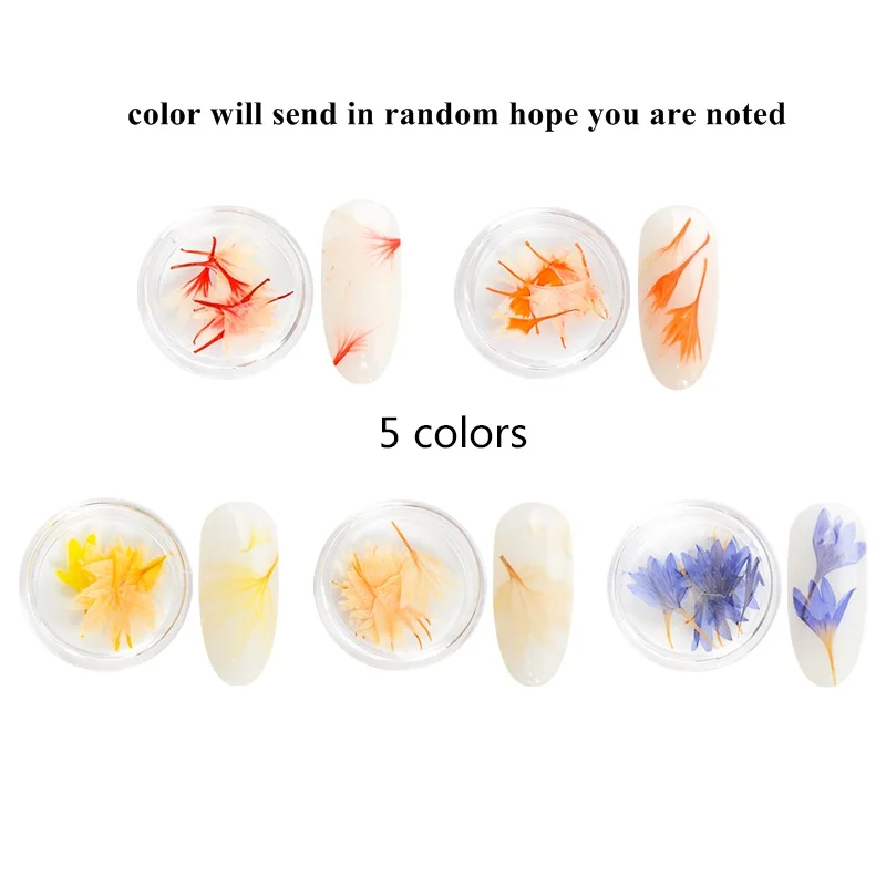 Декоративные сухие цветы для ногтей Mtssii 3D Маникюр настоящие консервированные