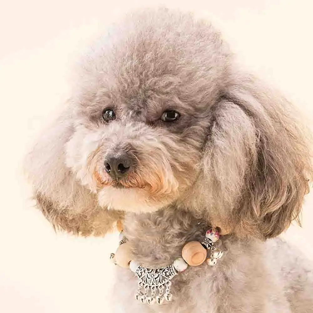 Модный ошейник ручной работы для питомца кошки отпугивающий комаров с