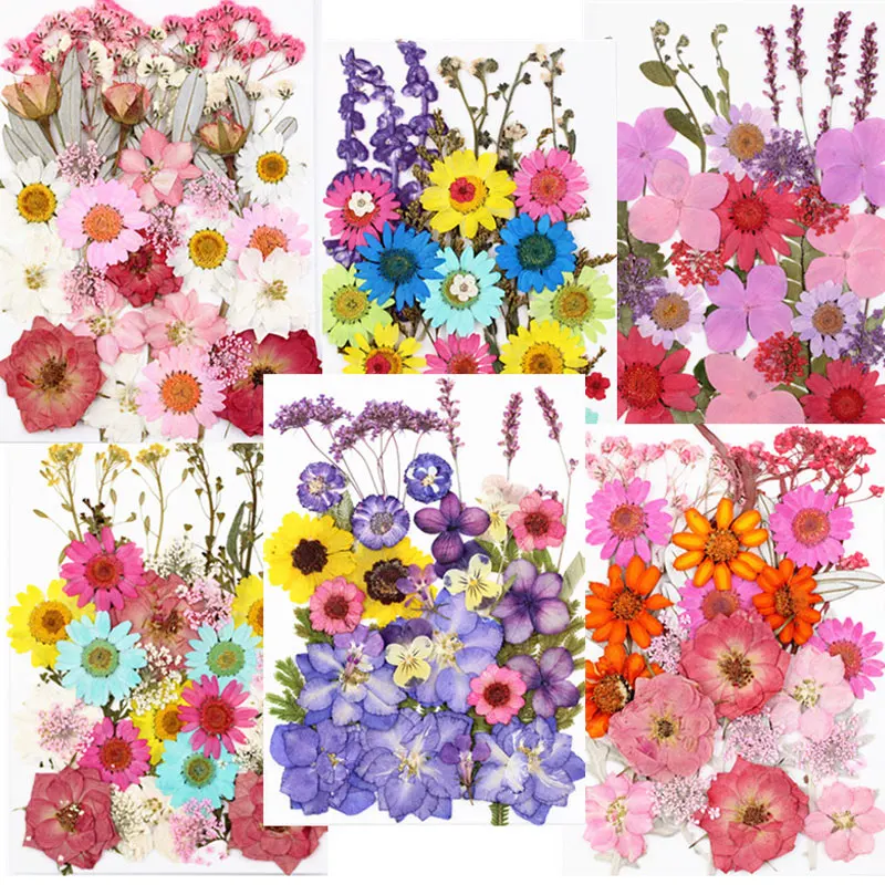 Натуральные сушеные цветы коллекция композиций для Украшения Стеклянных