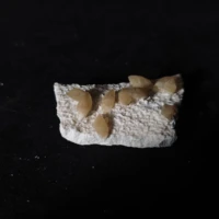 13 6gnatural rice calcite gypsum intergrowth crystal mineral specimens