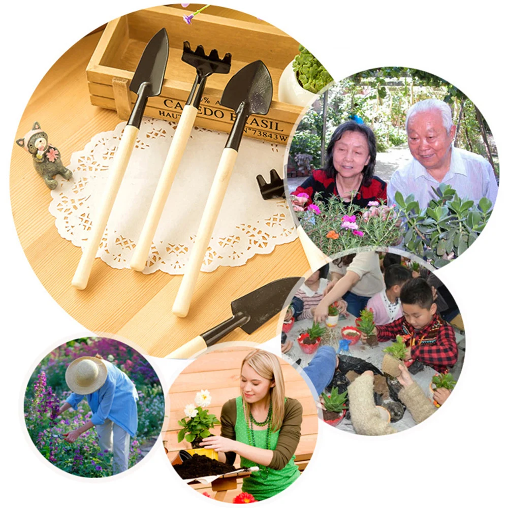 

Multifunction 3pcs Garden Hand Shovel Rake Tool Mini Gardening Trowel Transplanter Lightweight Plant Tools Set