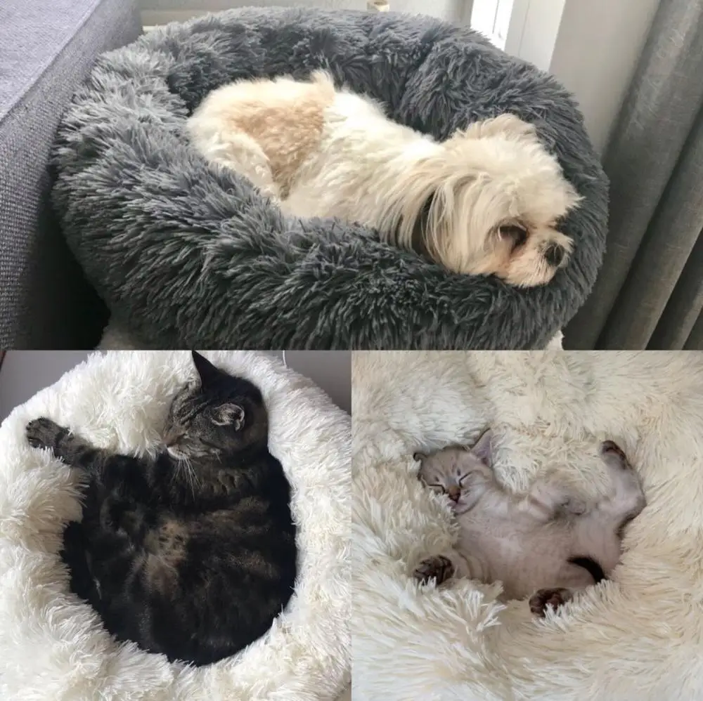 Novelty Pet Beds Round Plush Cat Bed Winter Warm Sleeping House comfortable Dog For Small Dogs Cats Nest Puppy Mat | Дом и сад