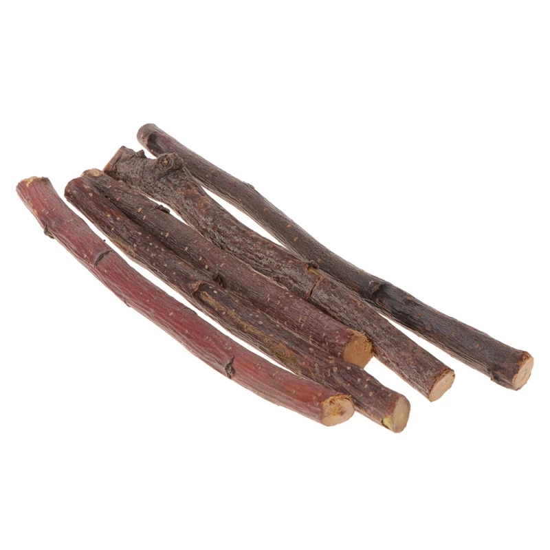 Жевательные палочки 5 шт. 20 яблоко ветка дерева хомяк белка натуральные зеленые