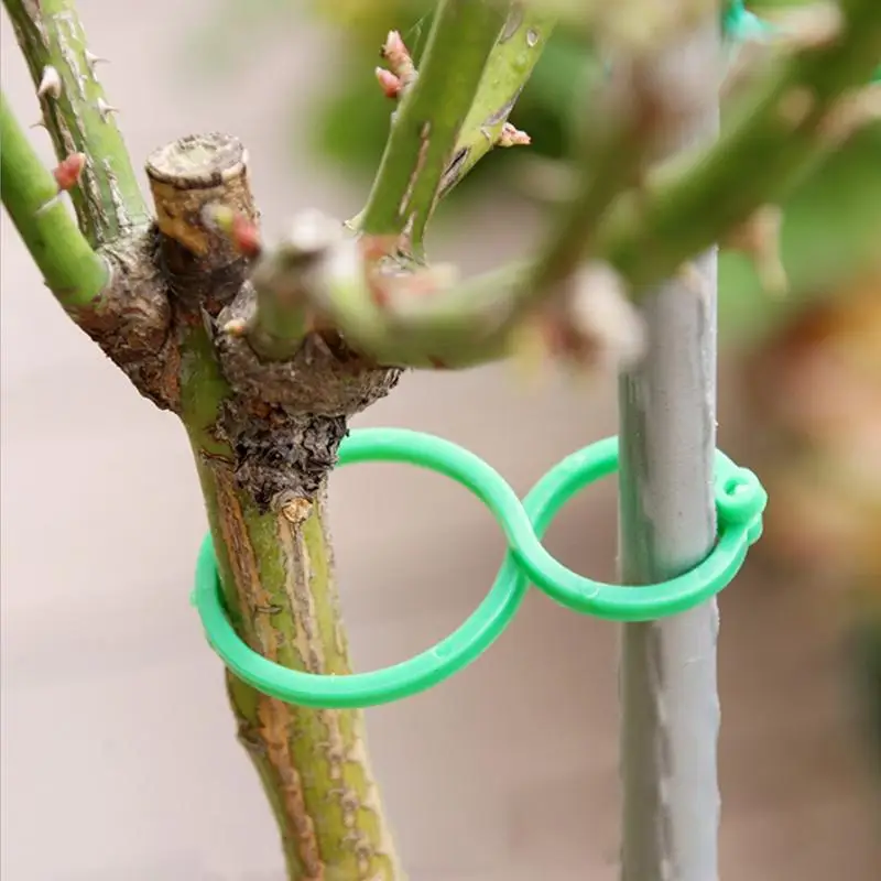 

50/100/200pcs Garden Plant Twist Clip Ties Supports Connects Protection Grafting Fixing Tool For Vegetable New Tomato Growing