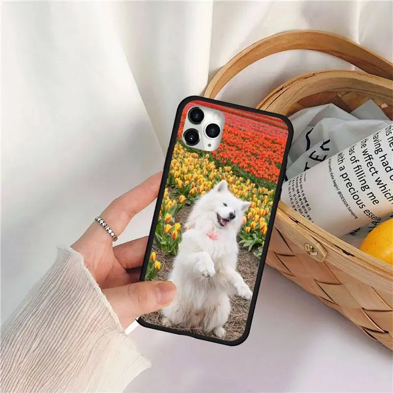 

Cute samoyed dog Phone Case for iPhone 11 12 Pro X XS Max Mini XR 7 8 Plus SE 2020 Samsung NOTE 9 10 S9 10 20 A51 Plus Ultra