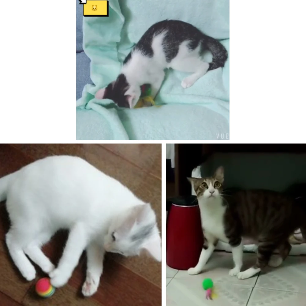 Игрушка для домашних животных в форме шариков кошки котят любовь новинка набор