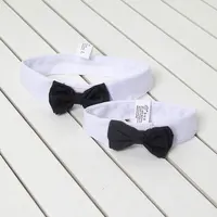 Бабочка для кота#1