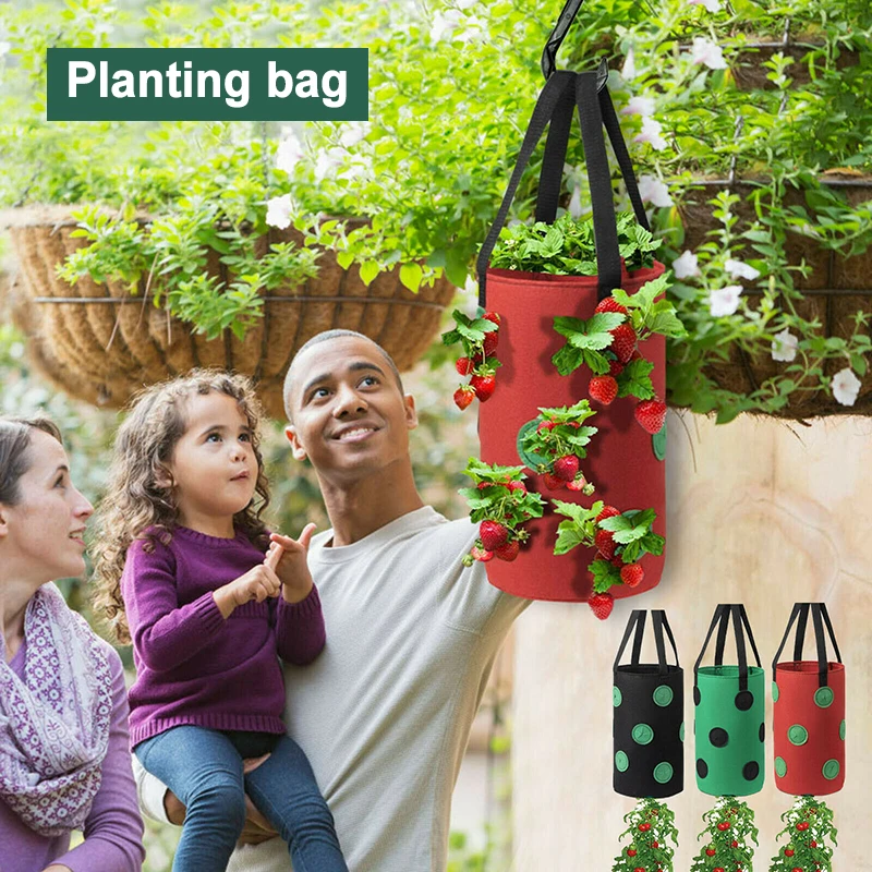 

Garden Hanging Strawberry Planter with Holes Hanging Basket Planter Wall Decor Vegetable Fruit Hanging Green Grow Bag Flower Pot
