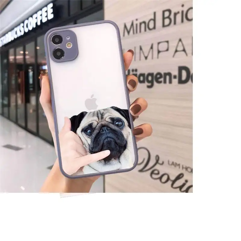 

Cute funny animal bulldog art Phone Cases Matte Transparent For iPhone 12 Mini 11 Pro XR XS Max 7 8 Plus