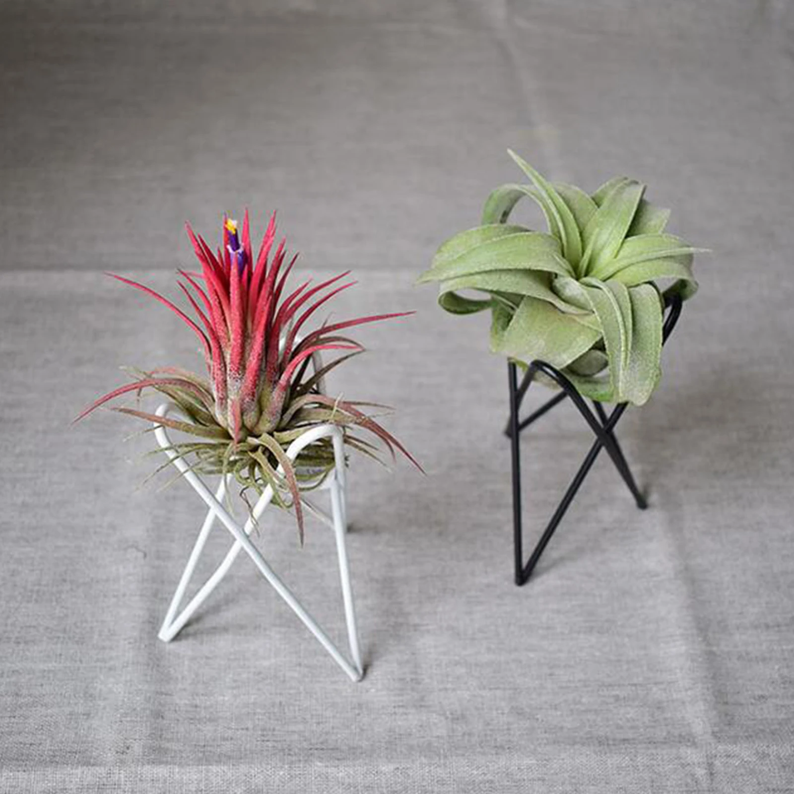 

Geometric Tillandsia Desktop Plants Stand Bracket Pineapple Support Nordic Style Iron Indoor Office Frame Flower Rack