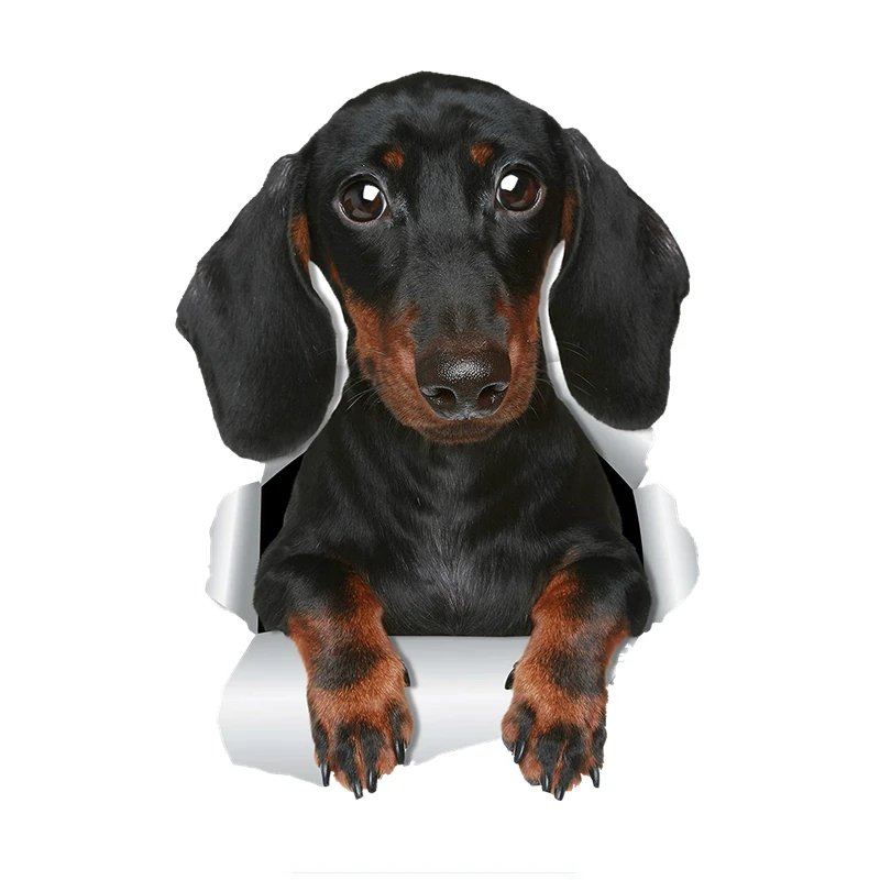 

3D Cute Dachshund Sausage Dog Car Sticker PVC Personalized Decal for Wall Car Toilet Room Luggage Skateboard Laptop,17cm*10cm
