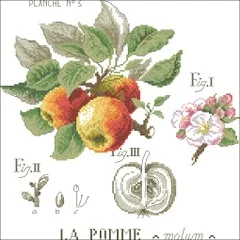 YIXIAO Counted Cross Stitch Kit stitch RS cotton with cross Shadow flower apple | Дом и сад