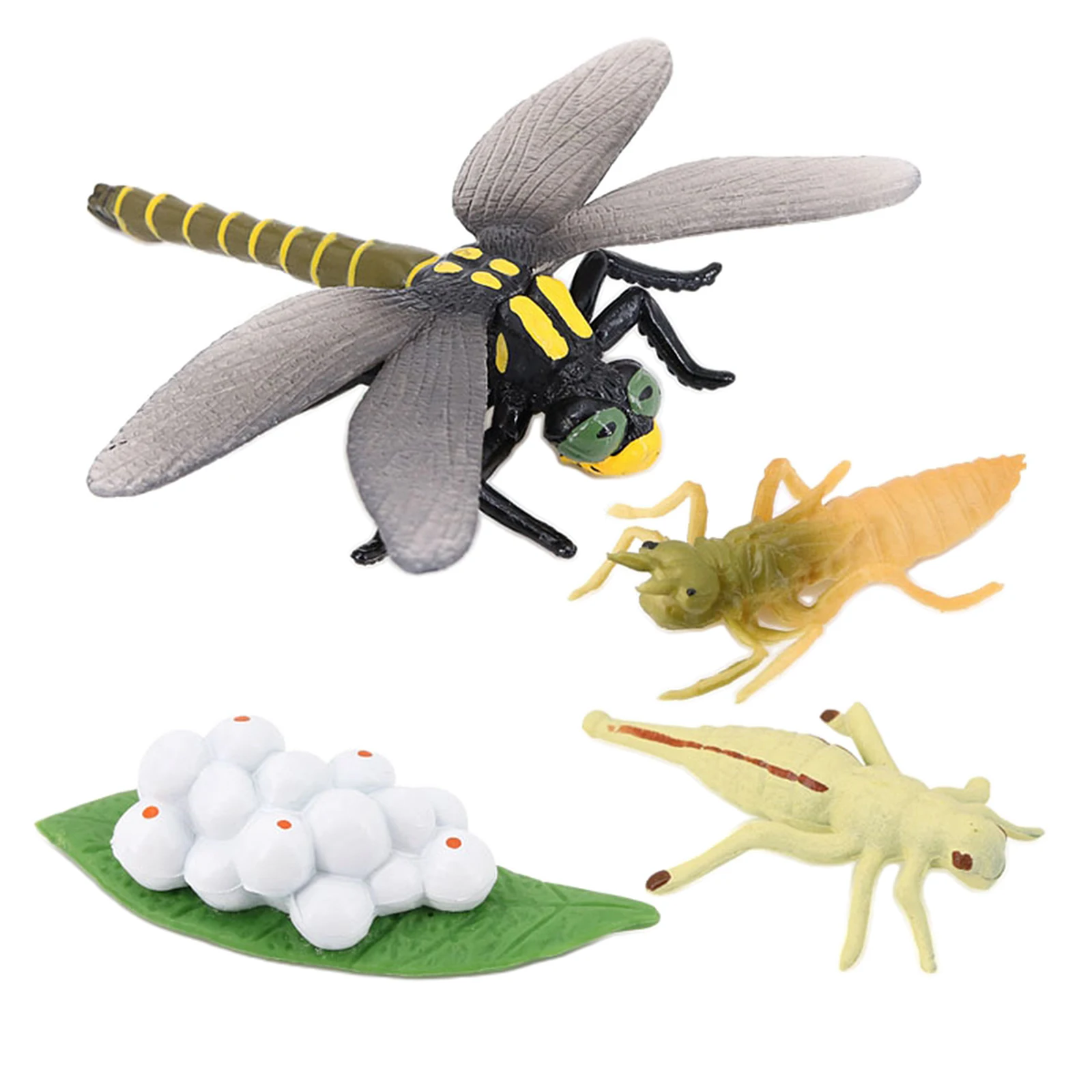 

Жизненный цикл стрекозы, натуральные насекомые, жизненный цикл, модель роста, игрушка, имитация насекомых, животных, натуральная образовате...