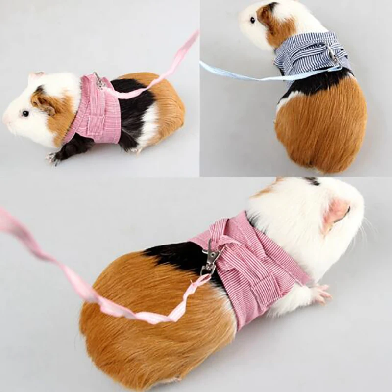 

Small Pet Two-legged Chest Strap Outdoor Traction Rope Leash Clothes For Chinchilla Dutch Guinea Pig Breathable Cotton Corset