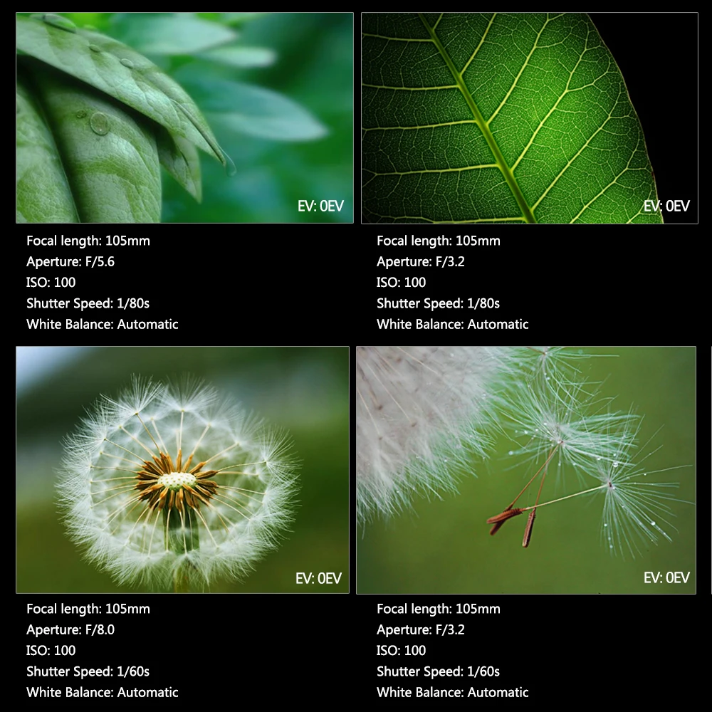 Увеличением фокусного расстояния Mcoplus Meike MK-MT24 Macro Twin Lite флэш памяти для Nikon D7100 D7200