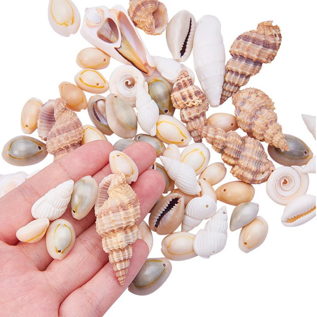 

1Box About 150-200Pcs Mixed Beach Seashells Conch Beads 16-45mm Vase Filler