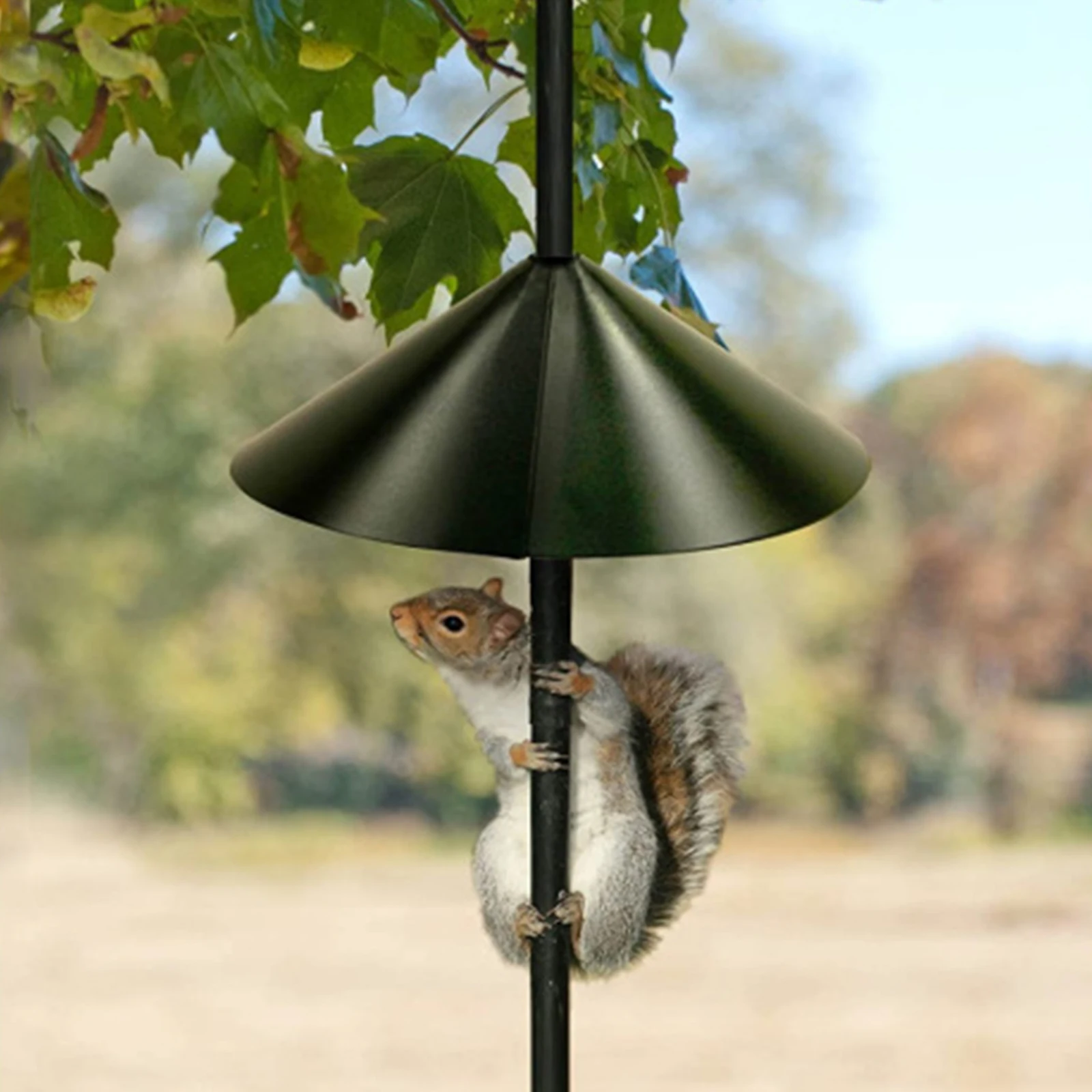 

Universal Squirrel Baffle Guard Protect Raccoon Proof Bird Feeder Protection Outdoor Yard Garden Decor Ornaments Anti-Rust
