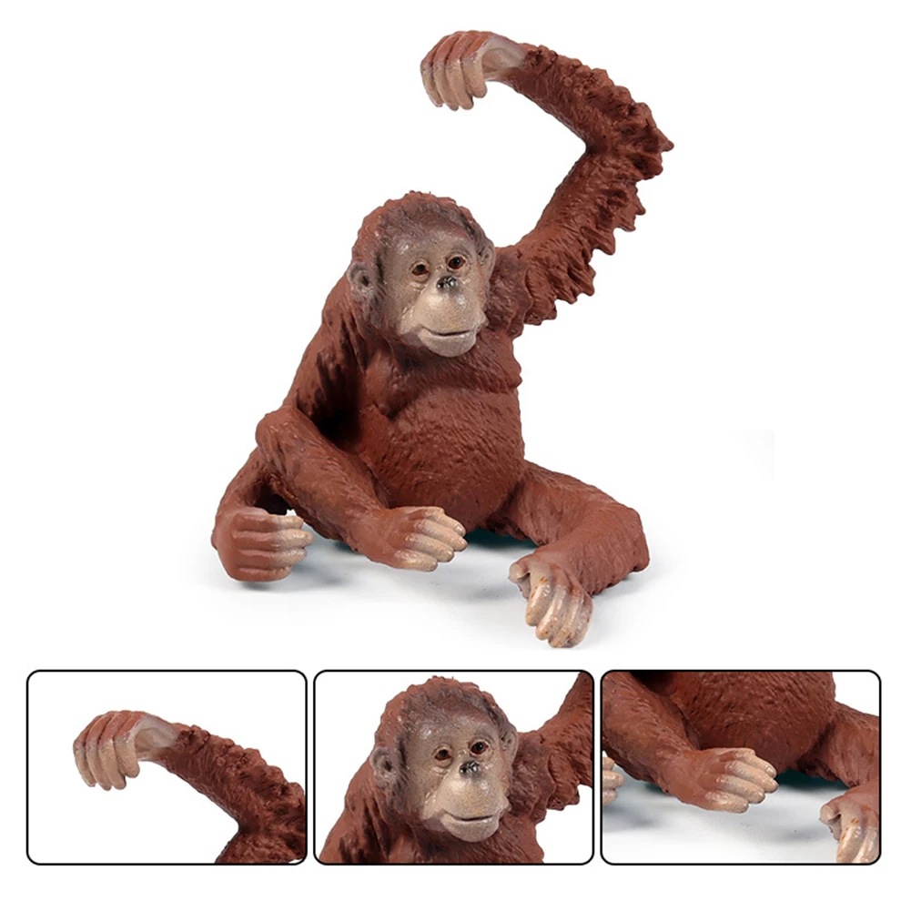 Моделирование гилобатов диких животных Твердые модели фигуры Образование