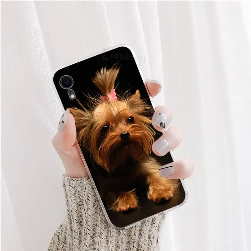 

Yorkshire terrier dog Phone Case For iphone 12 5 5s 5c se 6 6s 7 8 plus x xs xr 11 pro max mini