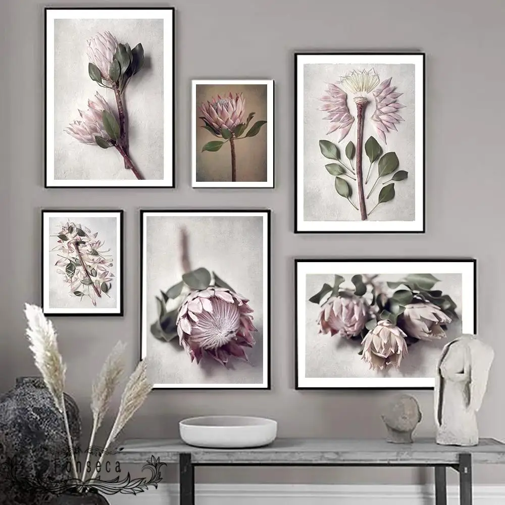 

Protea Flower Plant Art Prints Canvas Painting Nordic Poster Wall Art Pictures For Living Room Modern Home Decoration
