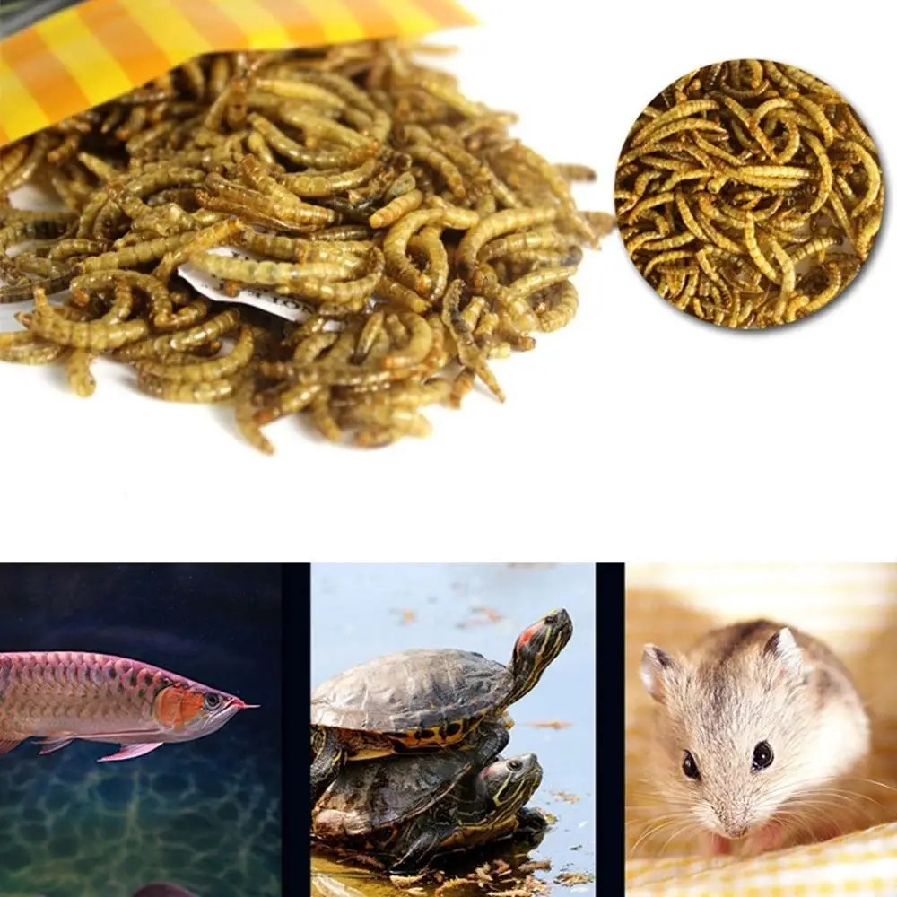 

30g Turtle Food Feed Sticks Betta Fish Feeder Granules Dried Fish Shrimp Bread Worms Reptile Aquarium Terrapin Tortoise Food