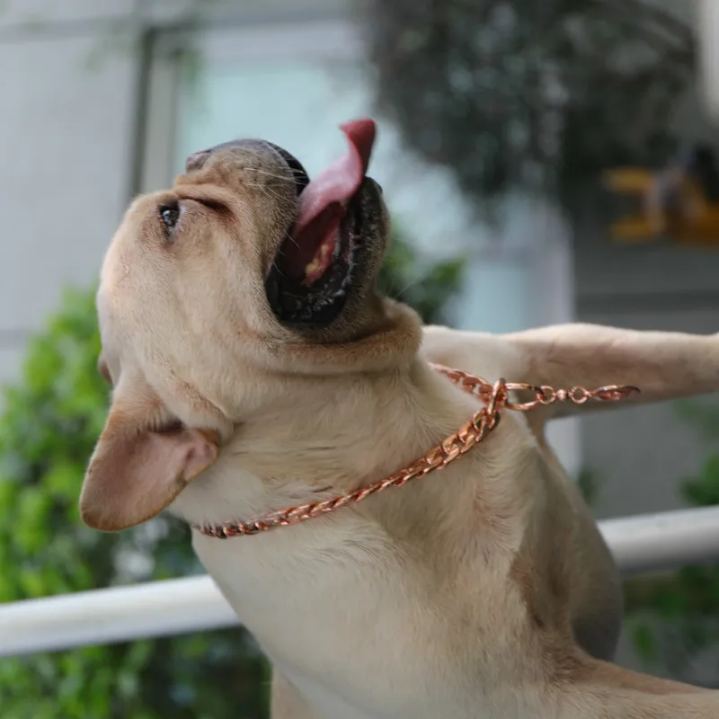 

Younice Domineering design Dog Collar PetChain 11-15mm Stainless Steel Necklace Rose Gold Collar Pitbull Bulldog Pet Accessories