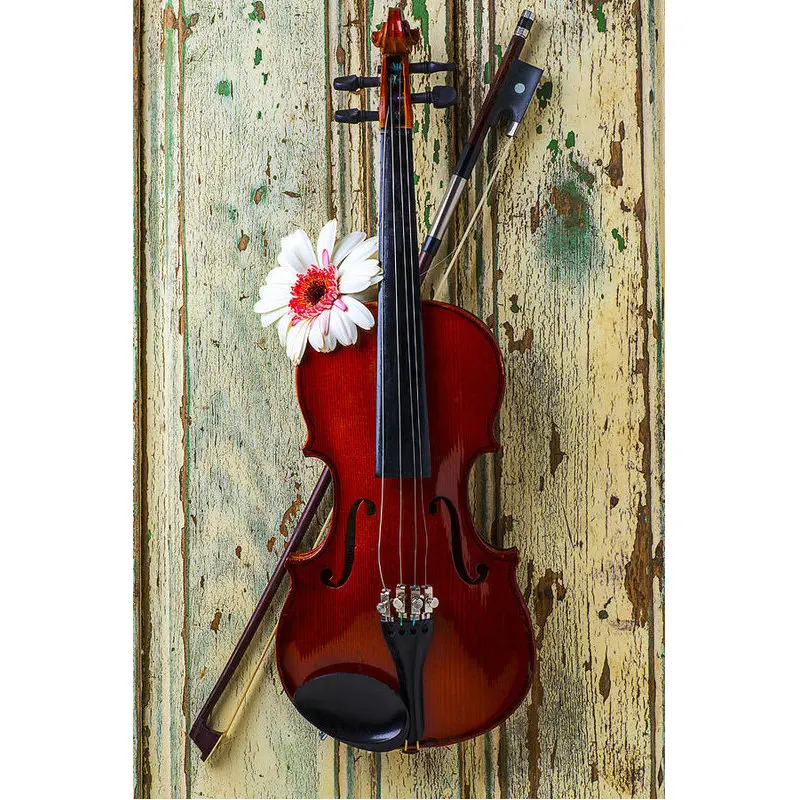 DIY 5D алмазная живопись скрипка и Маргаритка Стразы мозаичный узор Алмазная