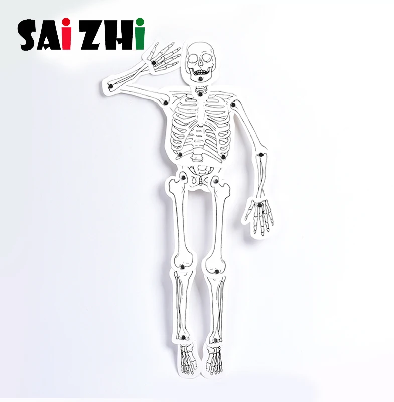 Модель Saizhi игрушка сделай сам модель человеческого скелета развивающая