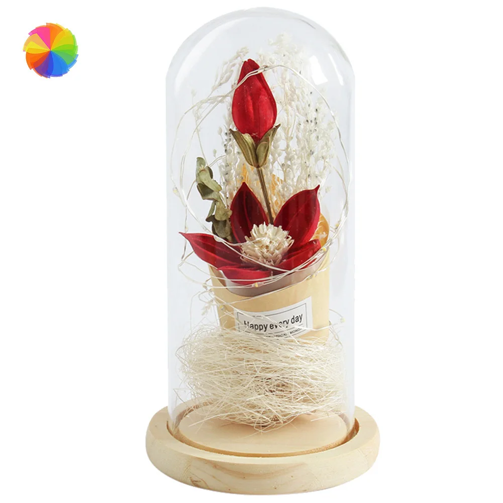 Светодиодный чехол из стекла Bionic Dry Flower Micro Landscape декоративный светильник