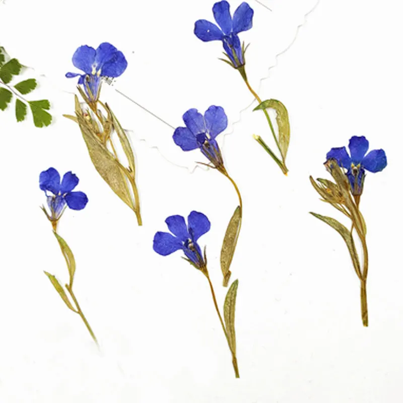 Голубой цветок на стеблях Lobelia 1 пакет/120 шт. для рукоделия оптовая продажа