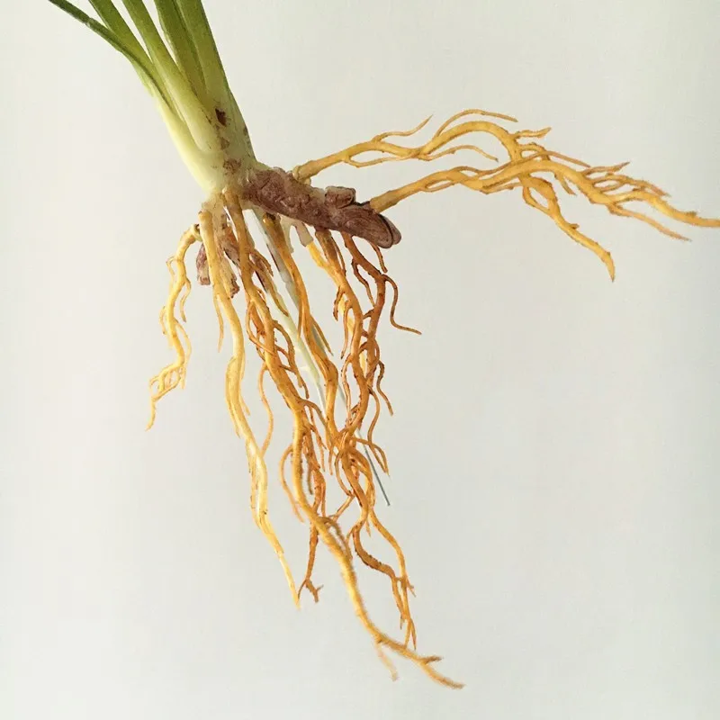 Искусственный цветок антуриума ЭВА 60 см | Дом и сад