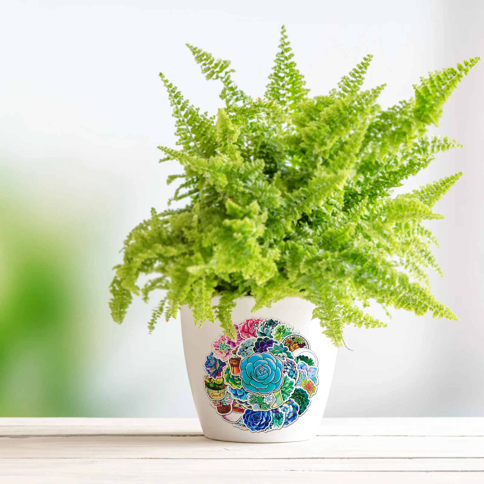 50PCS Mixed Pretty Succulent Plant Stickers PVC Sticker Aesthetic Guitar Laptop Phone Bike Waterproof Graffiti Decal Toy | Дом и сад