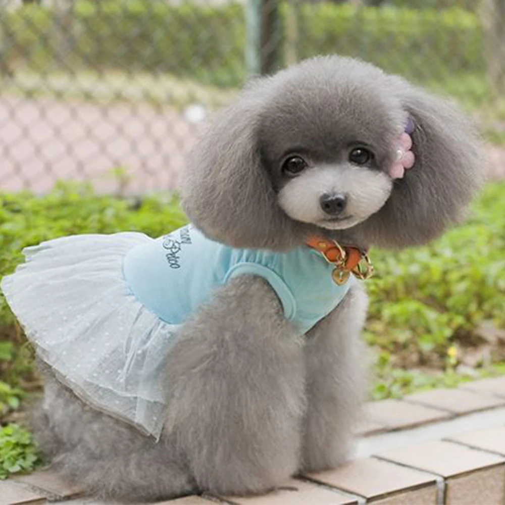 Платье для маленьких собак причудливое искусственное с рисунком розы весны лета