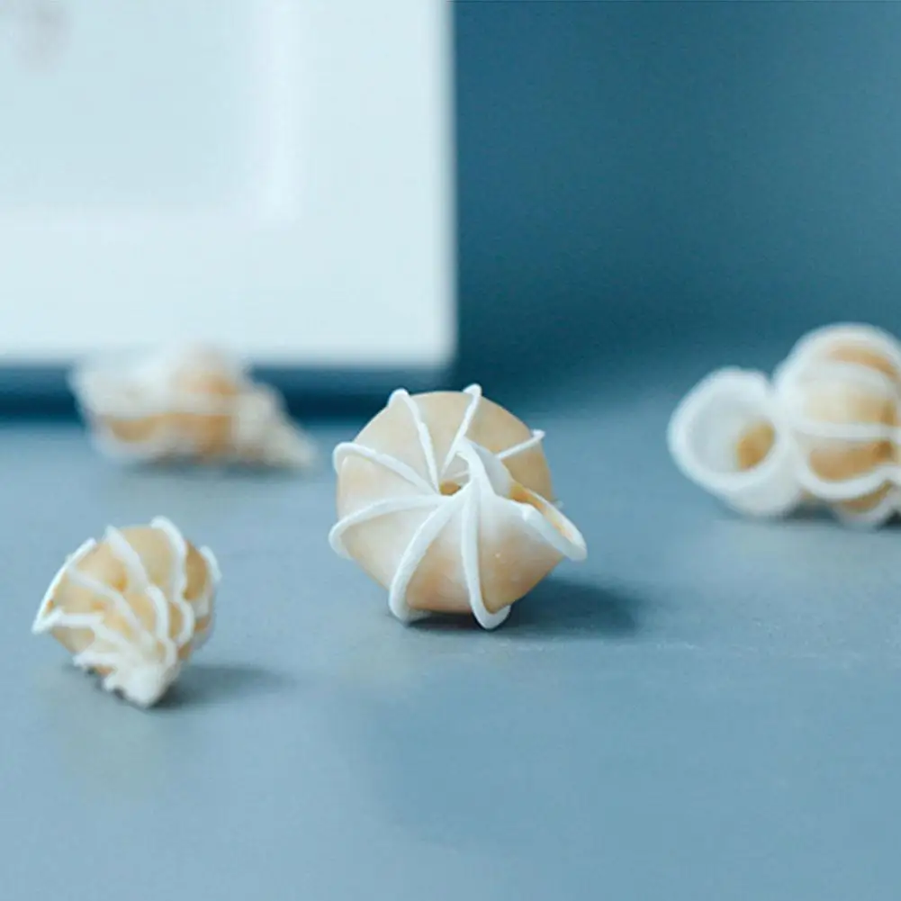 

Light Yellow 3-4cm Natural Chishi Snail Conch Shell Large Frog Seashells Furnishing Decorative Crafts Accessories Aquarium Micro