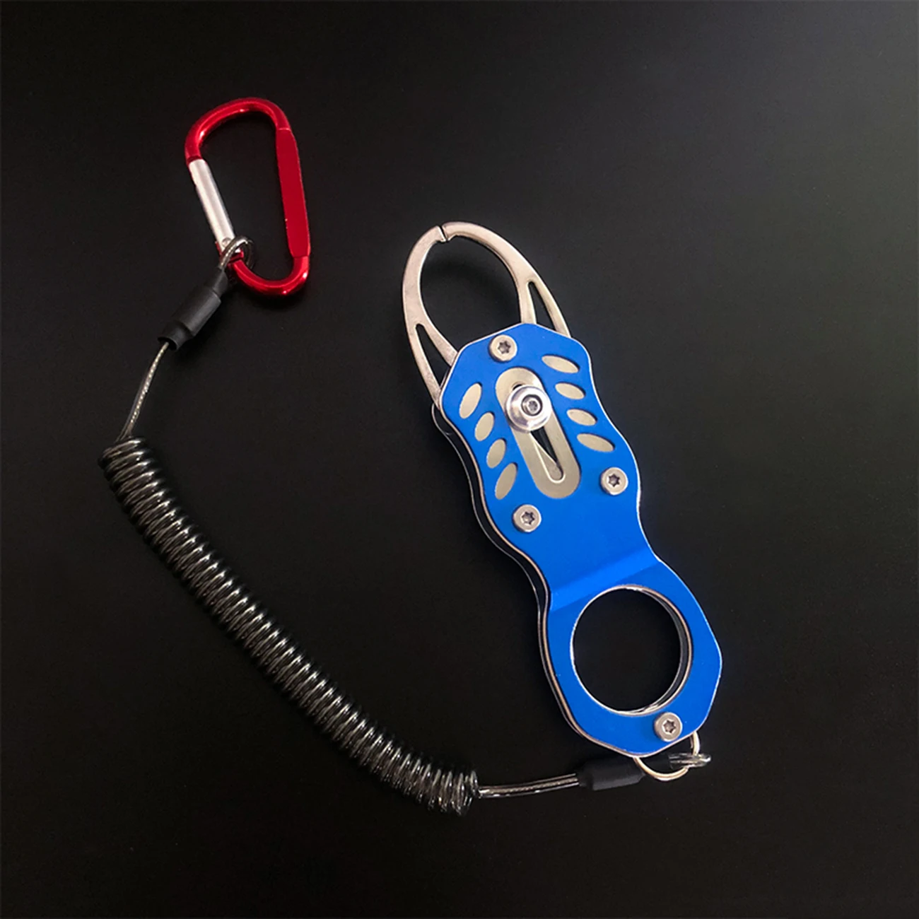 

1Pc Mini Fish Lip Gripper Stainless Steel Fish Holder Fish Lip Grabber Portable Fish Gripper Grip Tool for Saltwater Freshwater