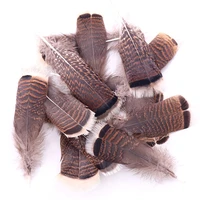 100pcslot natural turkey feathers 25 30cm10 12inch pheasant eagle bird feathers for crafts jewelry making carnival plumes