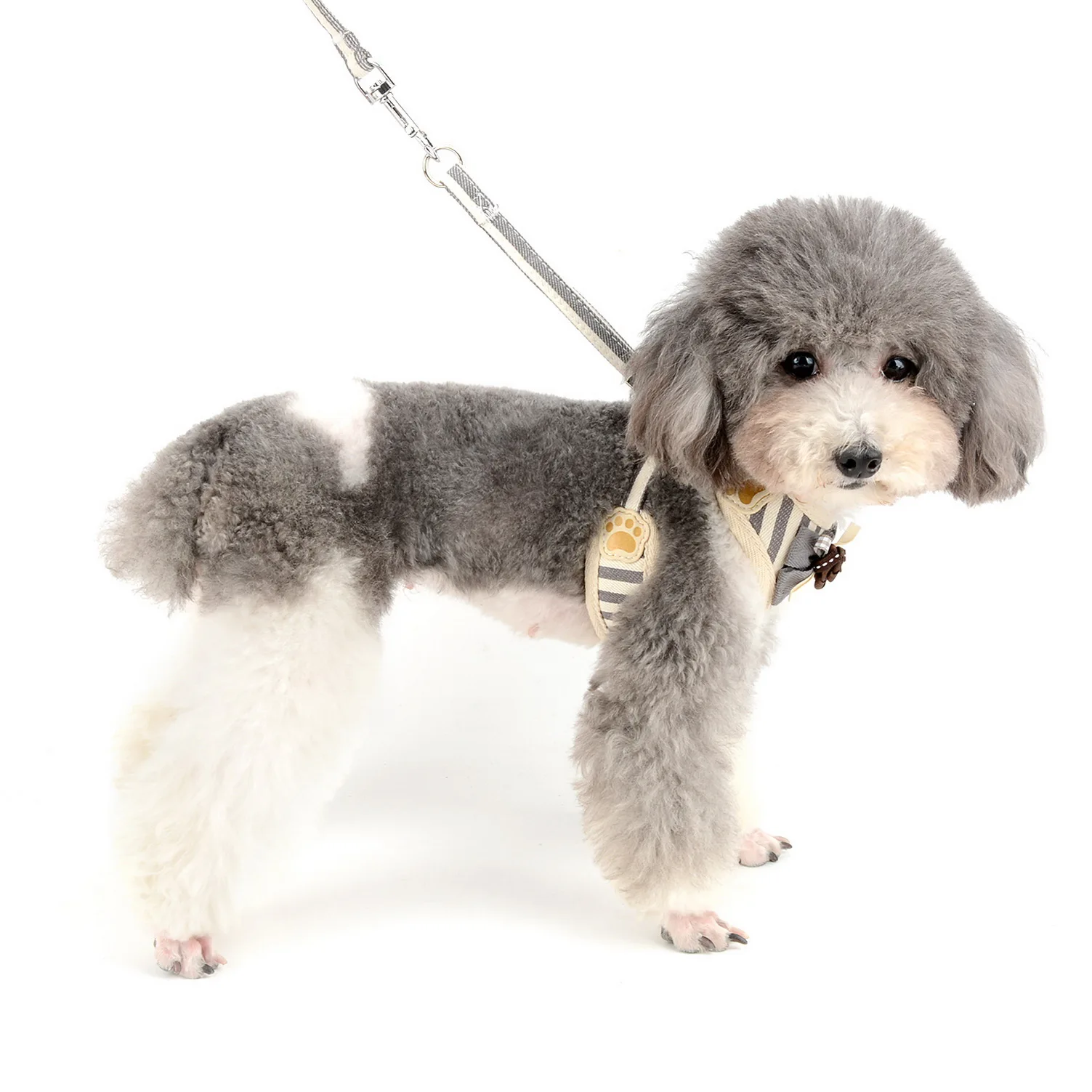 Бантик в полоску для девочек поводок маленьких собак кошек прогулок защищенный