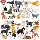 Oenux Милая кошка собака модель фигурку персидская кошка Сфинкс котенок щенок боксеры своего померанского шпица фигурки обучающие игрушки для детей