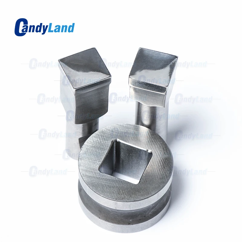 CandyLand Square Logo Tablet Die 3D Pill Press Mold Candy Punching Custom Calcium Punch For TDP 0 Machine |