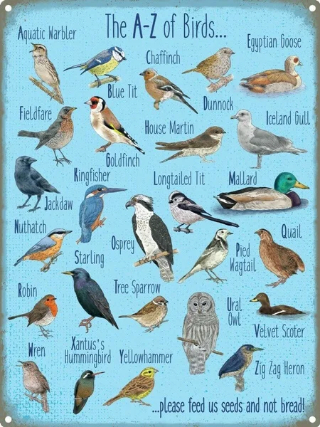 

Tin Sign The A-Z Of Birds Coffee Bar Decoration Home Decor