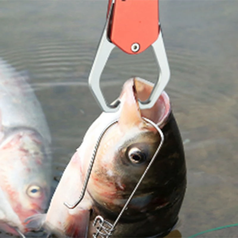 

Fish Lip Gripper Portable Fish Grabber for Saltwater Freshwater Aluminum Stainless Steel Fish Controller
