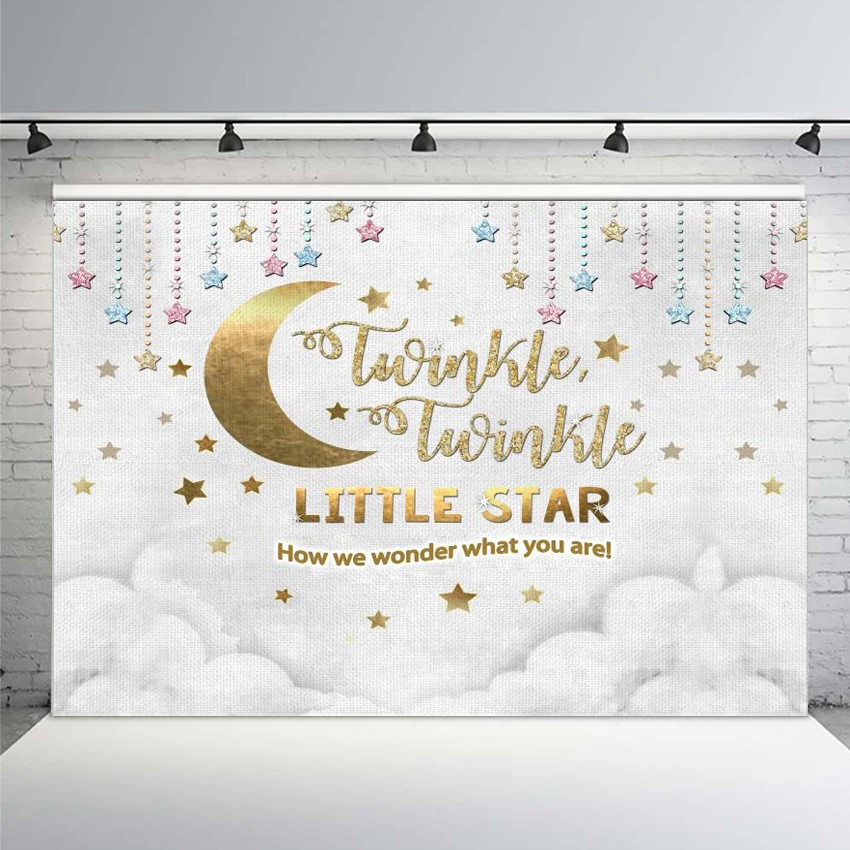 Gender Reveal Photo Backdrop Twinkle Twinkle Little Star Baby Shower Party Newborn Birthday Photography Background enlarge