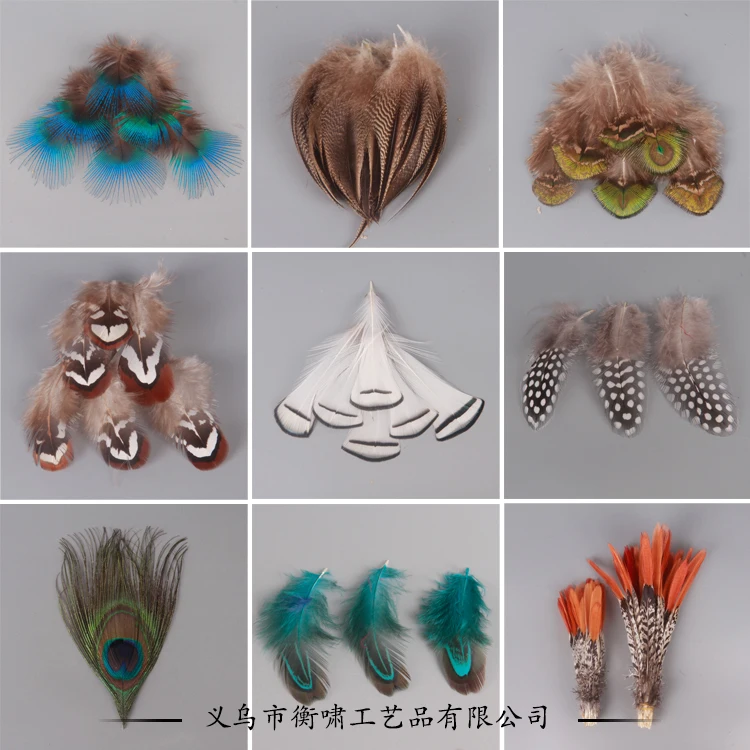 Перья страусиного фазана для рукоделия сделай сам натуральные перья павлина