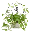 Металлическая рама для скалолазания, подставка для декора цветочных горшков, садовая лоза, подставка для скалолазания, белая кольцевая Гортензия, зеленая подставка для инструментов