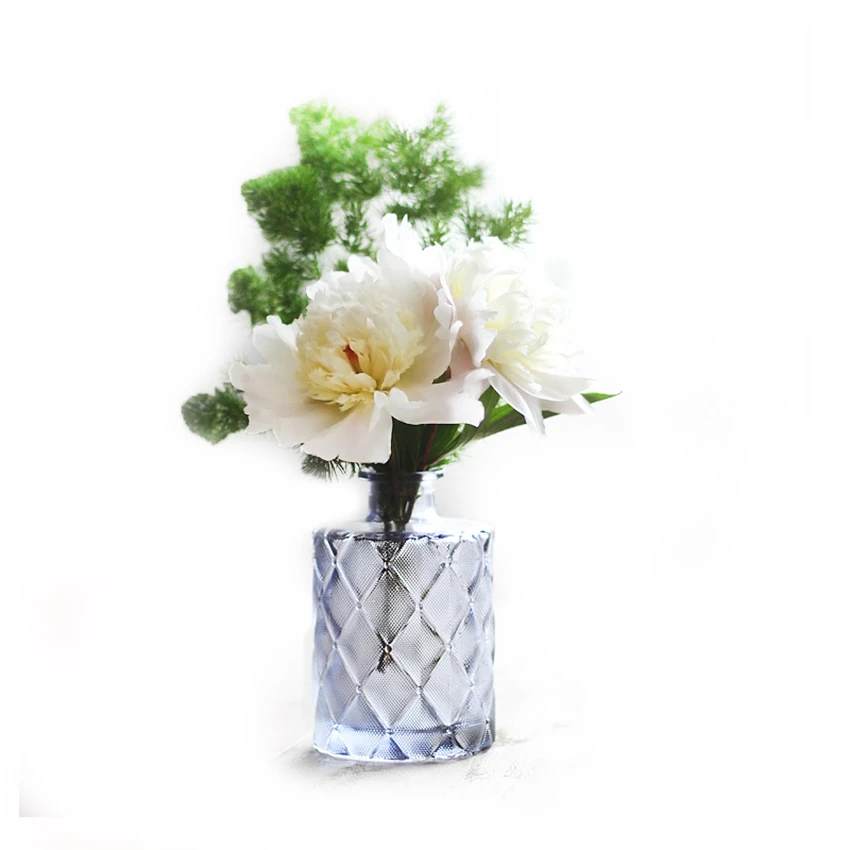 Прозрачная настольная стеклянная ваза мини Кристальный гидропонный контейнер