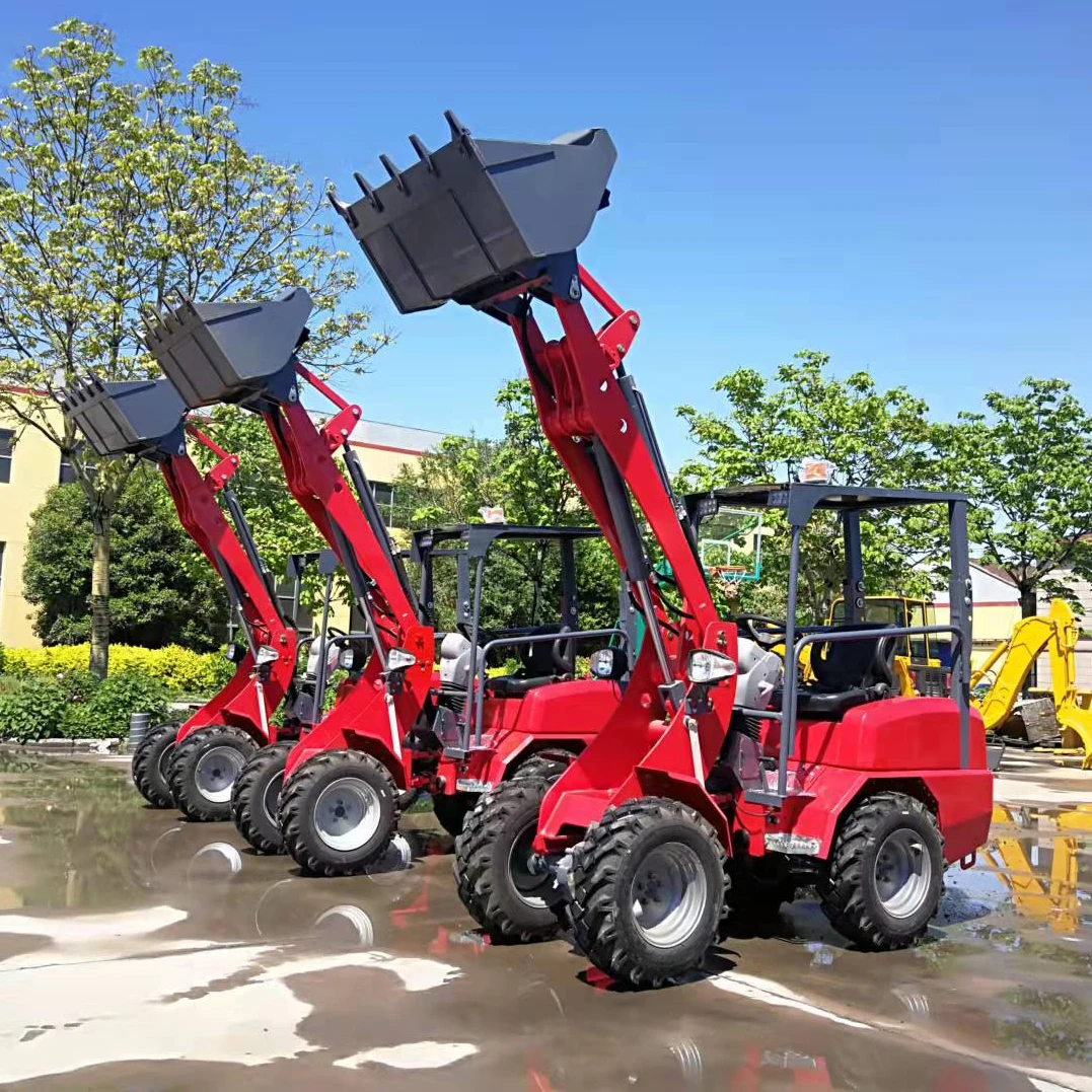 Колесный мини-погрузчик грузоподъемностью 800 кг на продажу | Инструменты